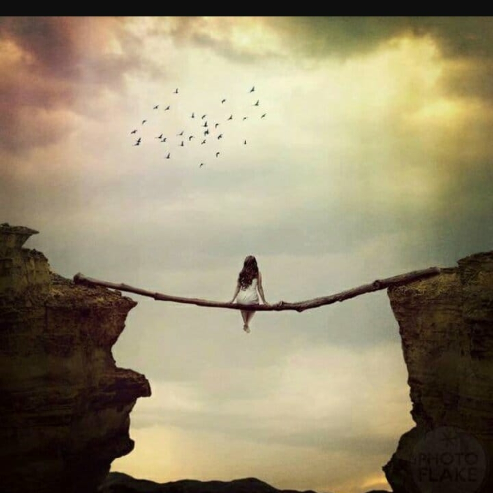 Meet your Posher, Sophia